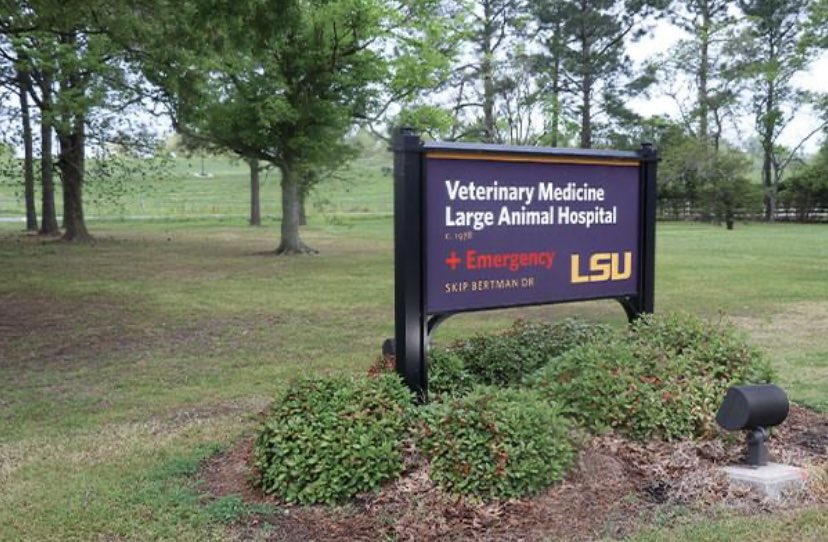 lsuvetmeddean's tweet photo. For those of you who own horses, please take a moment to read this press release from #LSUVetMed — & pass on. We’re proud partners of the #FDA & #LDAF in their investigations. Our hearts go out to those who have lost beloved equine companions. #WeProtect https://t.co/bXYZnj9rRL https://t.co/lHINKSlw3D