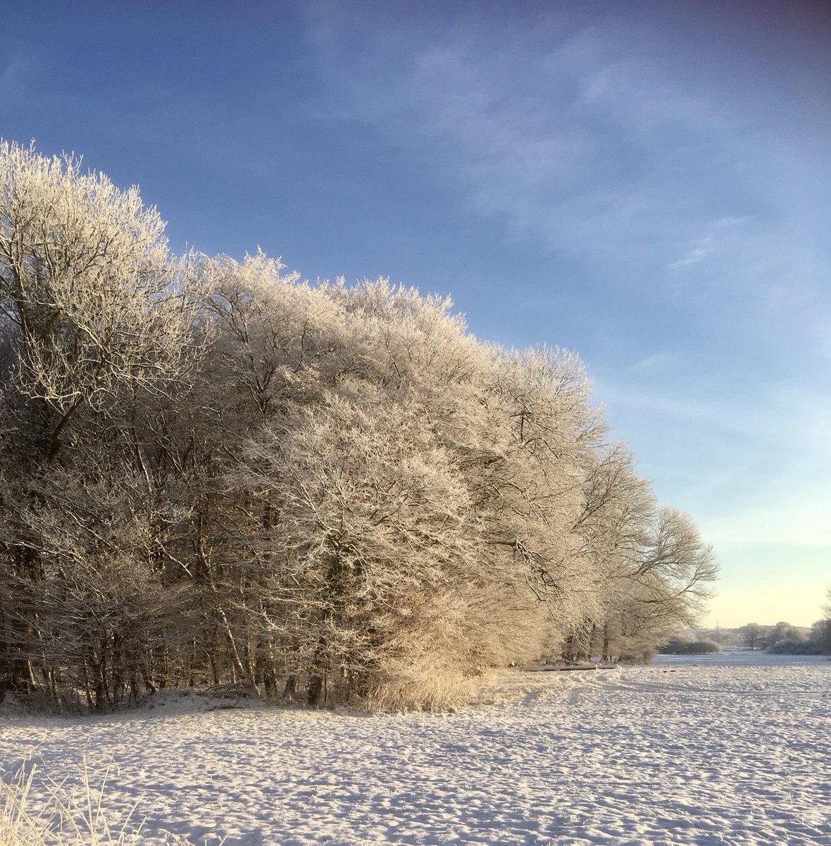 hafentour's tweet photo. Schönen 4. Advent☀️ https://t.co/OTZrZRMBAg