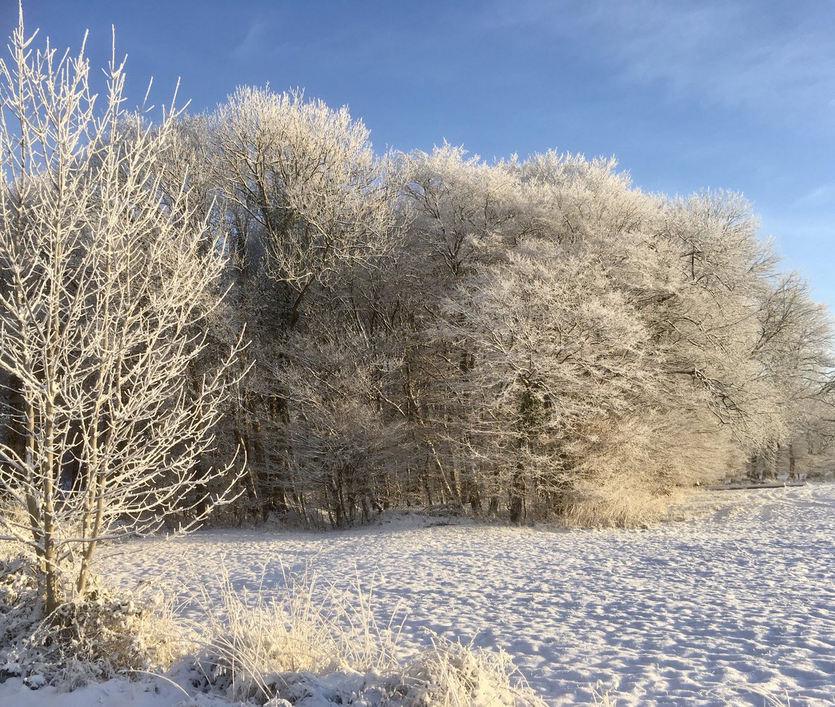 Schönen 4. Advent☀️