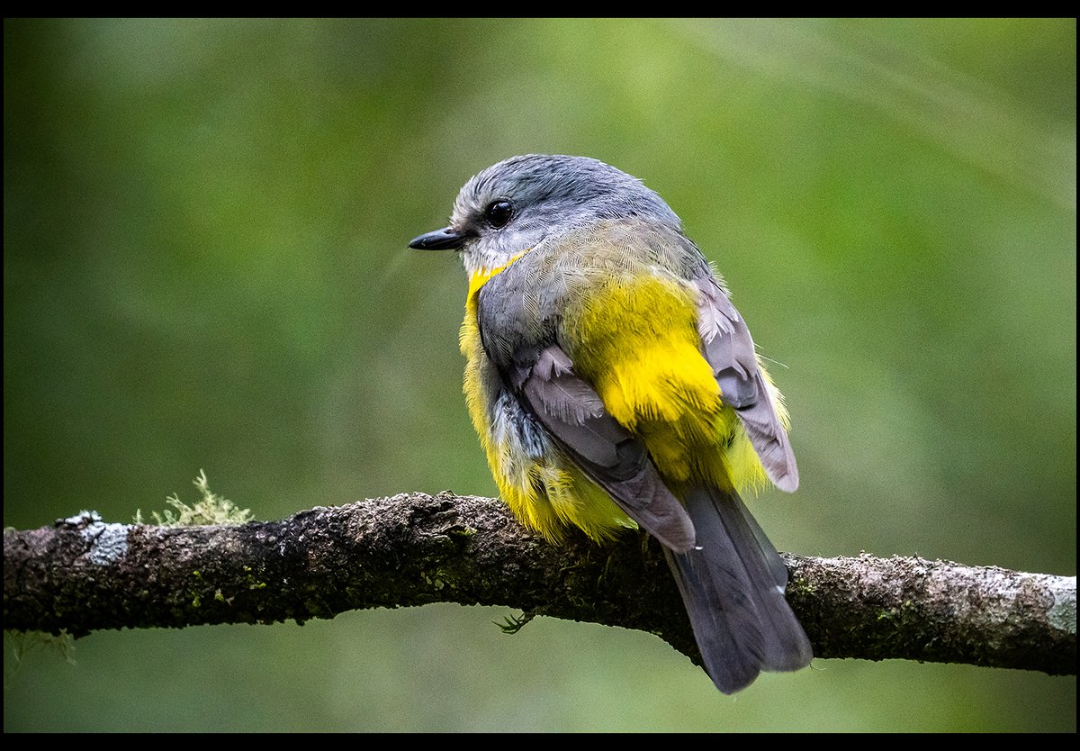 Nature is the art of God - Dante Alighieri