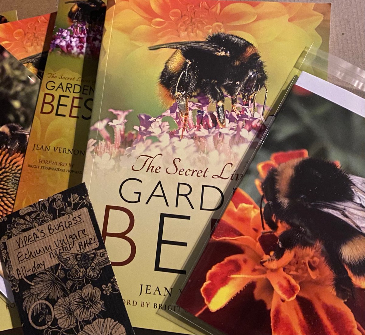 TheGreenJeanie's tweet photo. Just packing up my #FestiveBeeBookBundles for #lastminute gifts. Probably the last day for #ChristmasDelivery so if you'd like a #signedcopy for a #gift do get in touch. #pollinators #bees. Thanks everyone for your orders! Each book comes with a #FreeGift. https://t.co/8FVp78PSud https://t.co/pguO6gYFGM