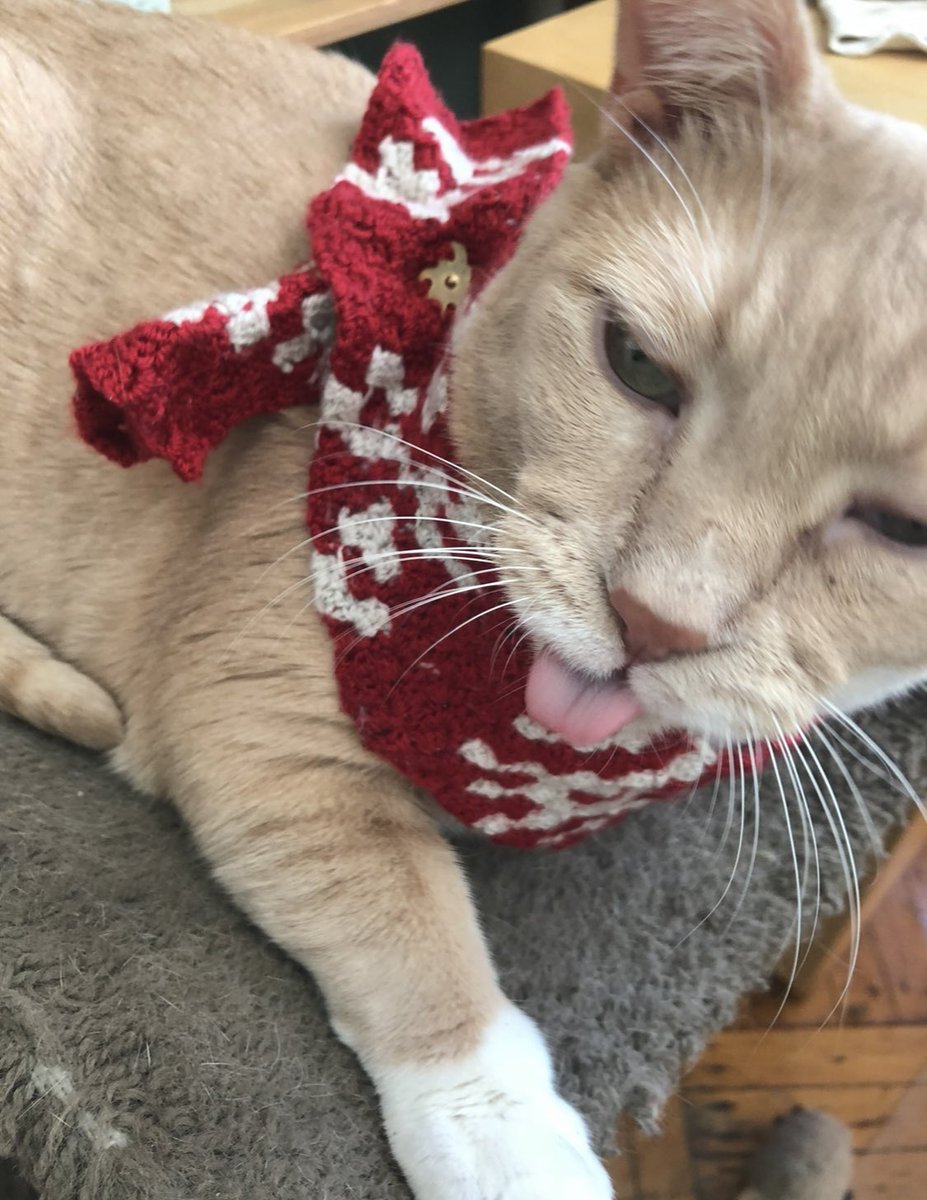 Alex Bisker tweet media