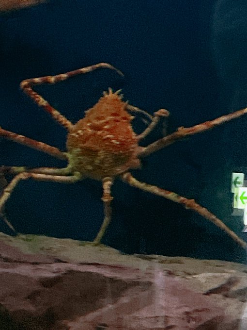 Twitterのコスプレ画像6