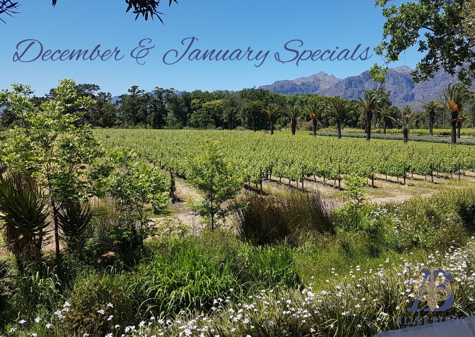 Allée Bleue Estate (@alleebleue) on Twitter photo Our December/January wine specials will make festive and summer entertaining so easy .. and kind on your pocket. Available only while stocks last, so don't delay!
alleebleue.co.za/december-janua…
<a href="/Franschhoek_SA/">Franschhoek Wine Valley</a> #AlleeBleueExperiences Our December/January wine specials will make festive and summer entertaining so easy .. and kind on your pocket. Available only while stocks last, so don't delay!
alleebleue.co.za/december-janua…
<a href="/Franschhoek_SA/">Franschhoek Wine Valley</a> #AlleeBleueExperiences