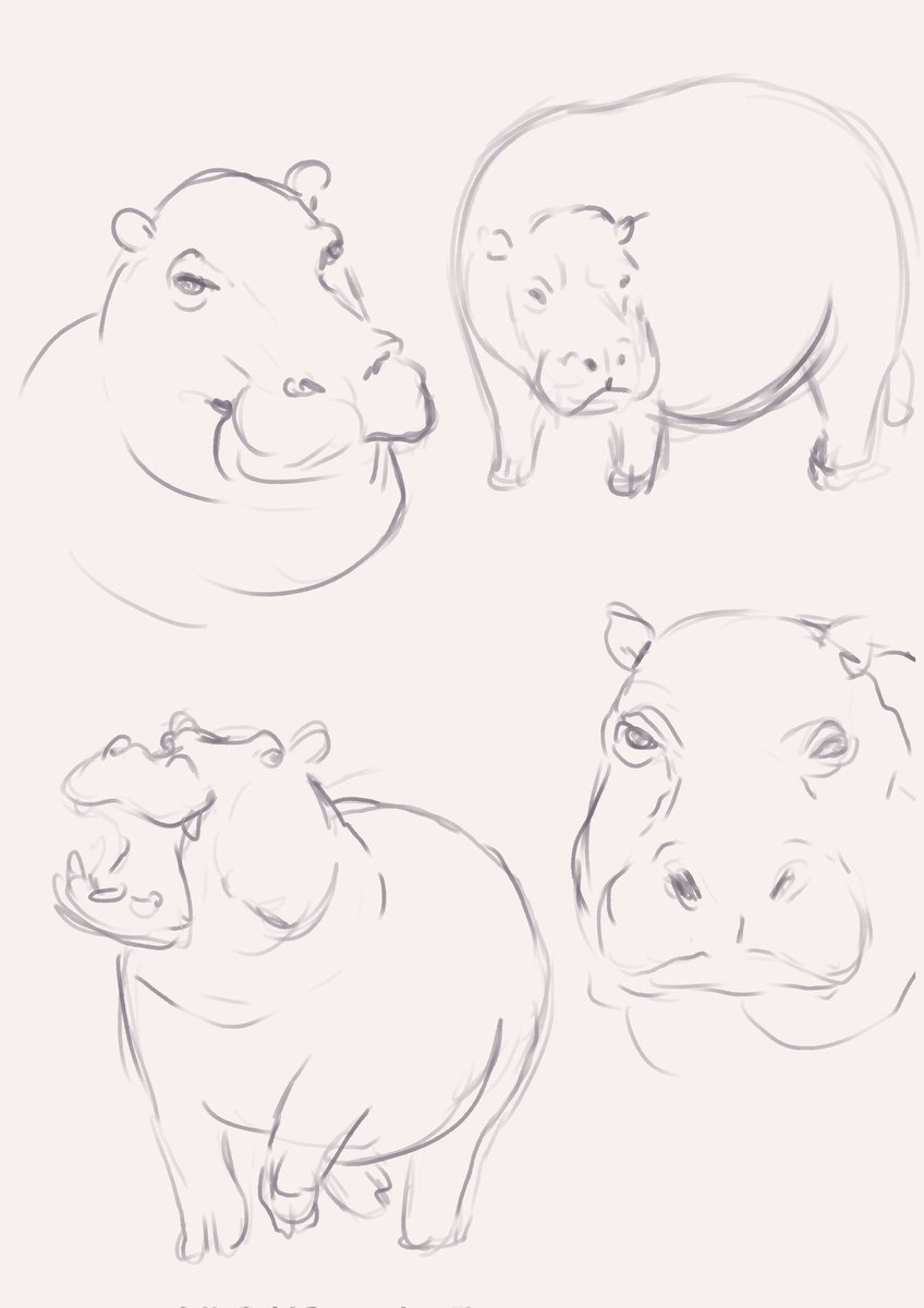 pinchpork's tweet photo. More face doodles  + hippo doodles
(Sorry for the radio silence!) https://t.co/sVSf2RZi2H