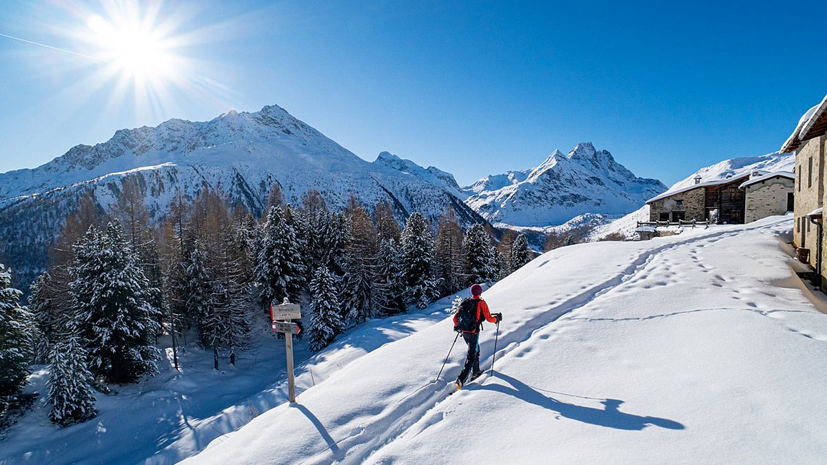 ValdidentroAV's tweet photo. A sunny December day in Val Viola โ
๐ธ @Giac_Meneghello
#valdidentro #wellnessmountain #valviola https://t.co/L7IY7H9hPJ