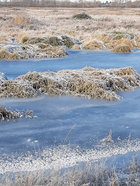 lingosia's tweet photo. Frosty air, crunchy snow, frozen fen #OuseFen https://t.co/6sWViLweD2