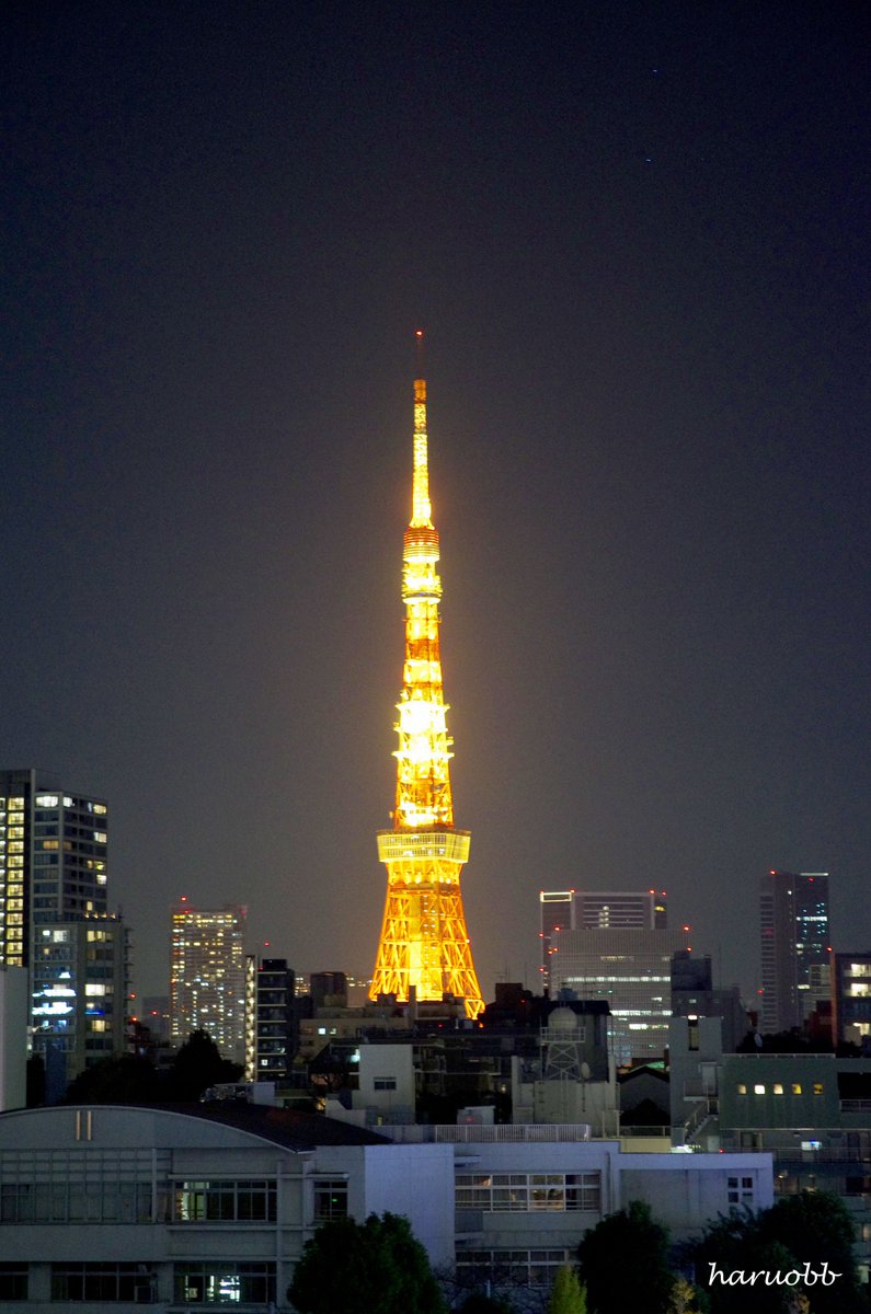 東京タワーがクリスマスツリーのように 見えてきた。 真っ暗な中に、東京タワーの輝きが美しい。 不思議とカメラのレンズを向けて撮っている。 私だけではなく、周りのみんなが撮っている。 それだけ、みんなにとって貴重な東京タワー何だろう
