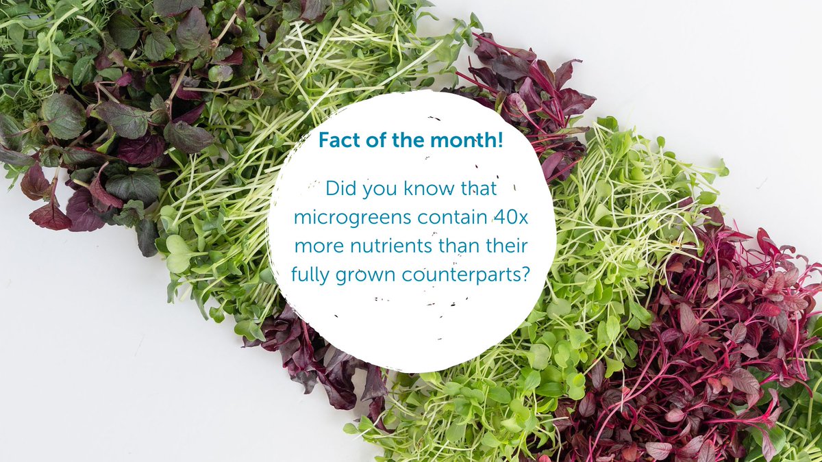 Believe it or not, it’s true!
 
Source: foodbank.ca

#Microgreens #ReadyToEat #Hydroponics #Local #Fresh #Healthy #Sustainable #SustainableFarming #AgTech #UAE #AbuDhabi #Dubai #MadarFarms #GrowingTheFuture