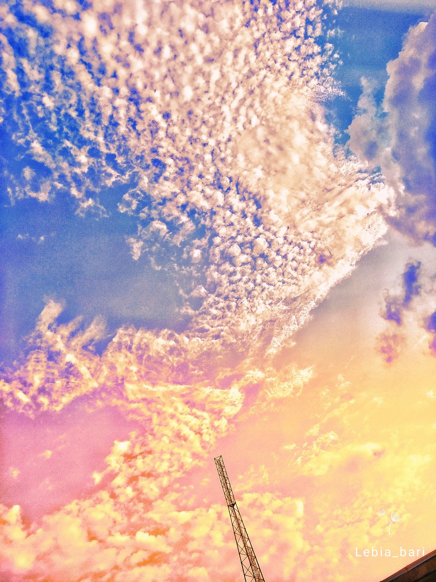doc_mc_stuffins's tweet photo. Shot and edited by me😇
#mobilephotography #edits #vsco 
#Snapseed https://t.co/ouksygTfNq