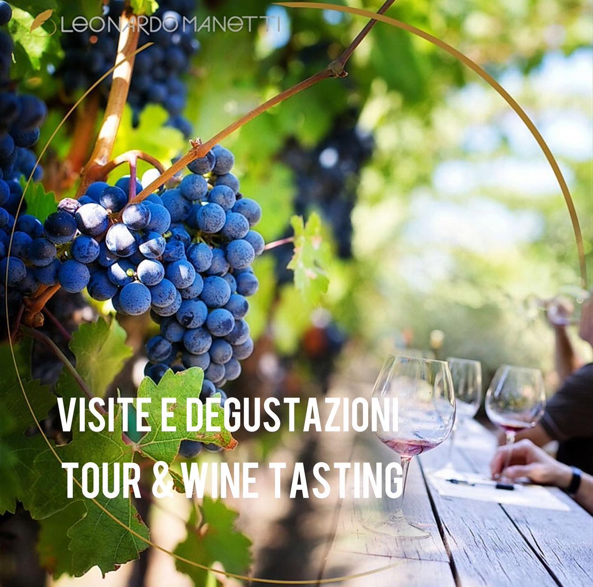 Leonardo Manetti - Poet & Tuscan Winemaker tweet media