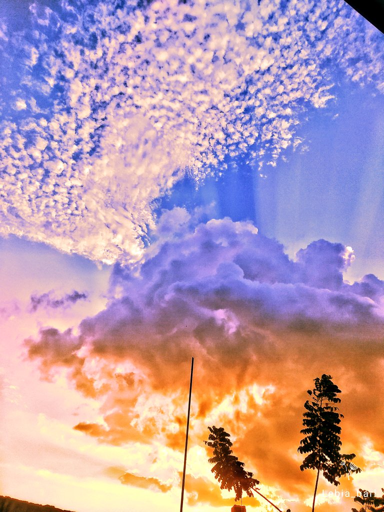 doc_mc_stuffins's tweet photo. Shot and edited by me😇
#mobilephotography #edits #vsco 
#Snapseed https://t.co/ouksygTfNq