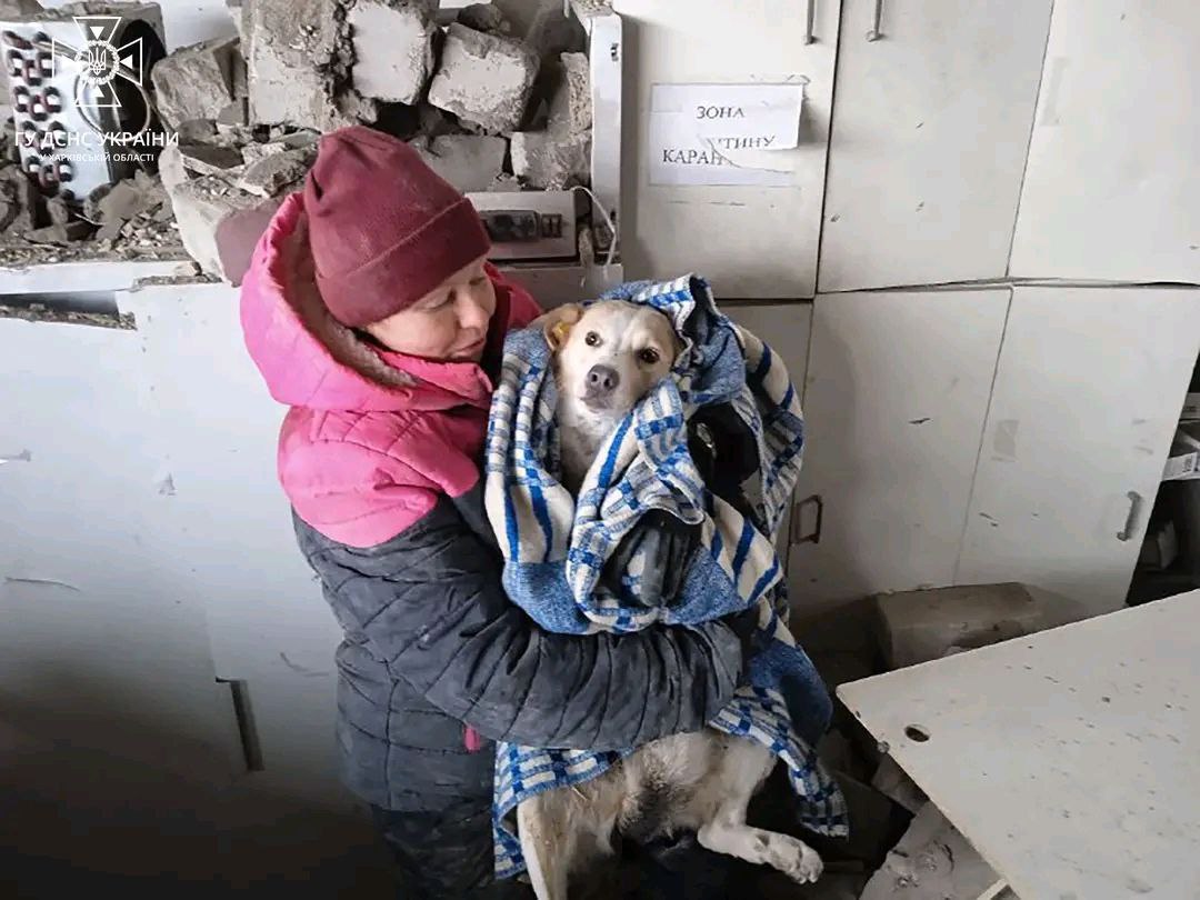Rescued in Kupiansk.