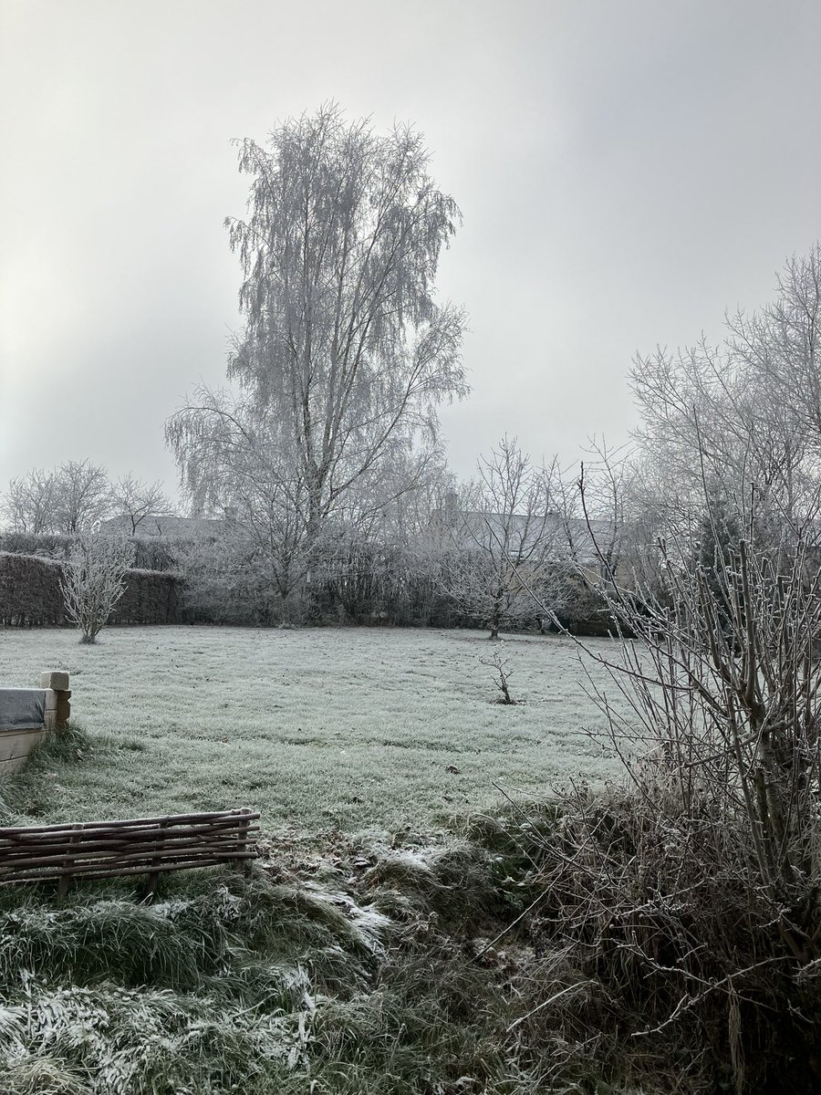 MarcStandaert1's tweet photo. @strategywoman A cold but sunny morning here. Yesterday evening the fanfare brass band, in which my wife plays as well, had their Christmas concert. One of the numbers was an adaptation of Melody, from the composer Skoryk. https://t.co/CUF1utagMK