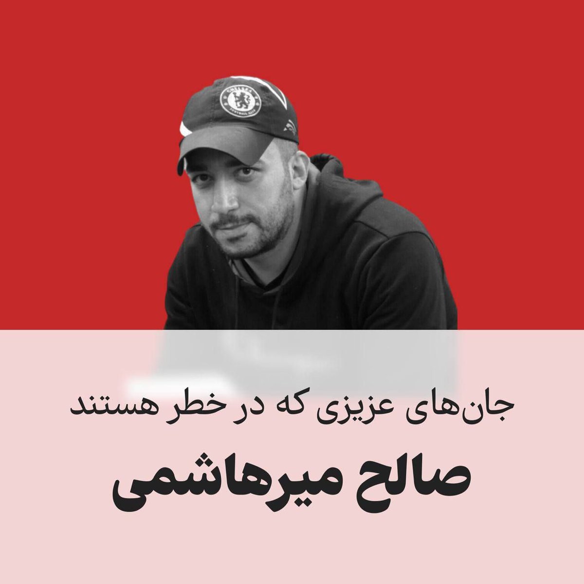 sharghi tweet media