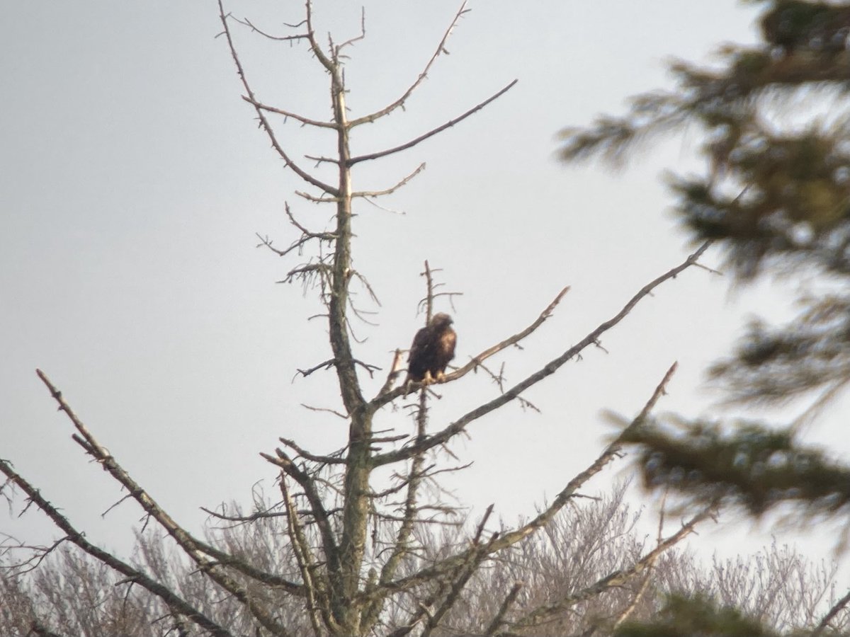 Michael Knudsen tweet media