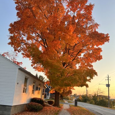 pgapiemi's tweet image. #NewProfilePic