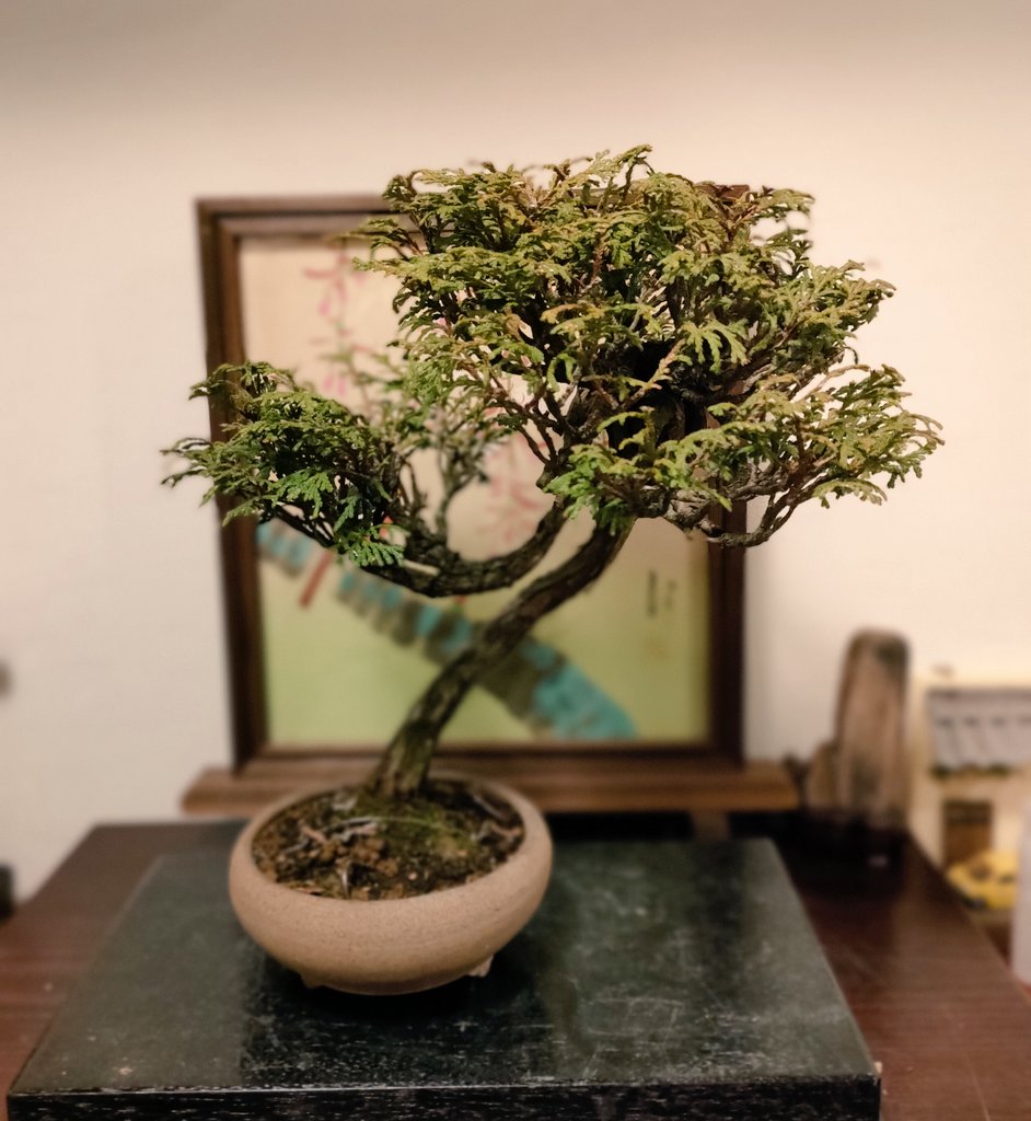 オンライン競り市