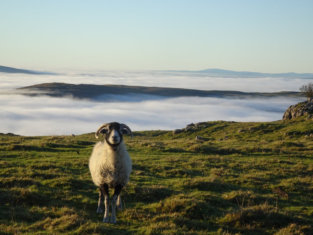 Ribblesdale a year ago.