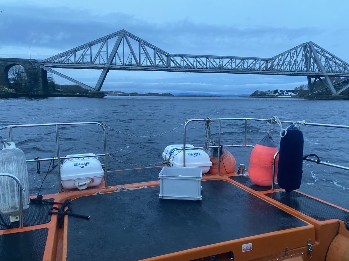 BaskingSharkScotland tweet media