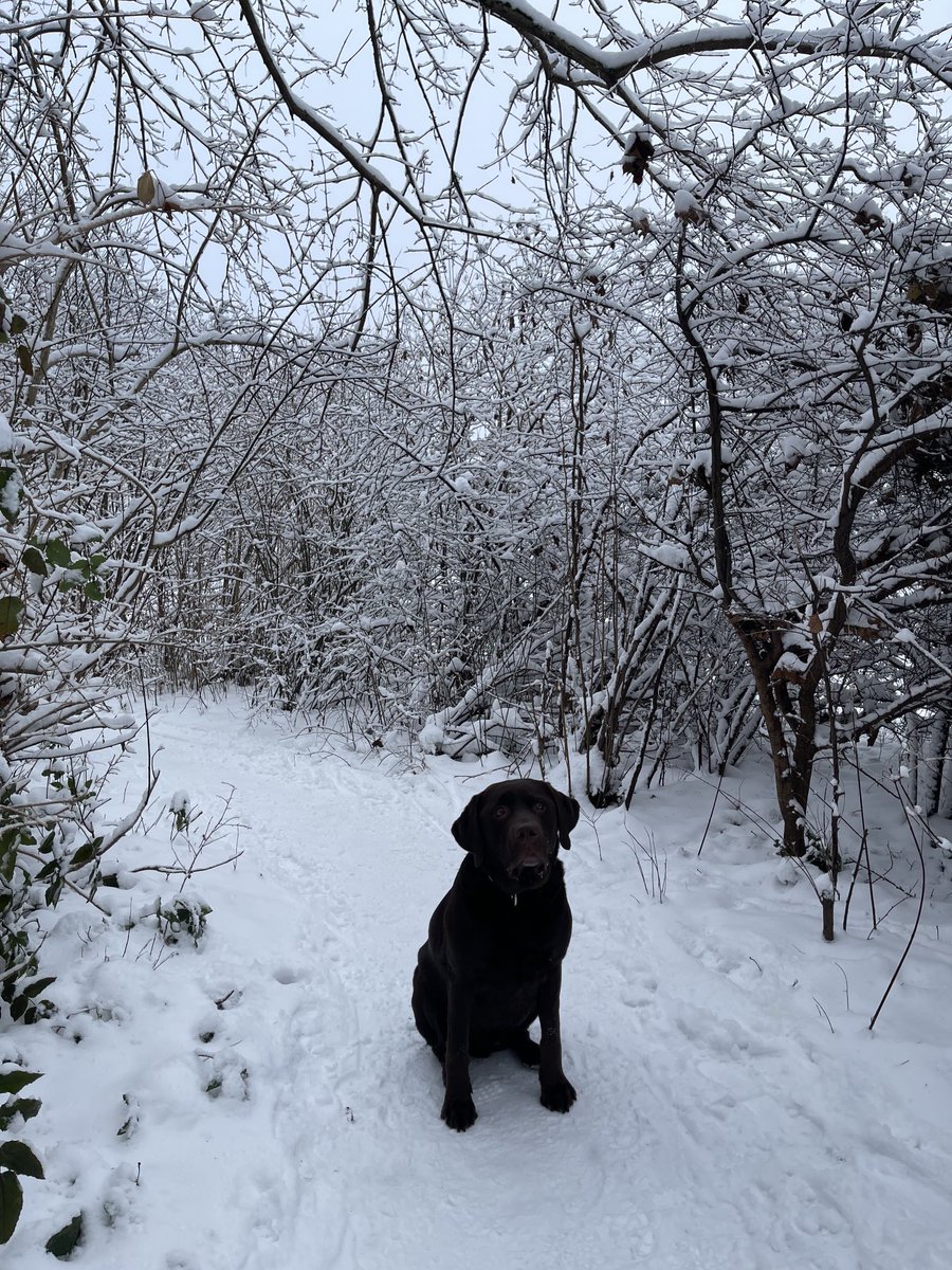 Winterfun with Shadow