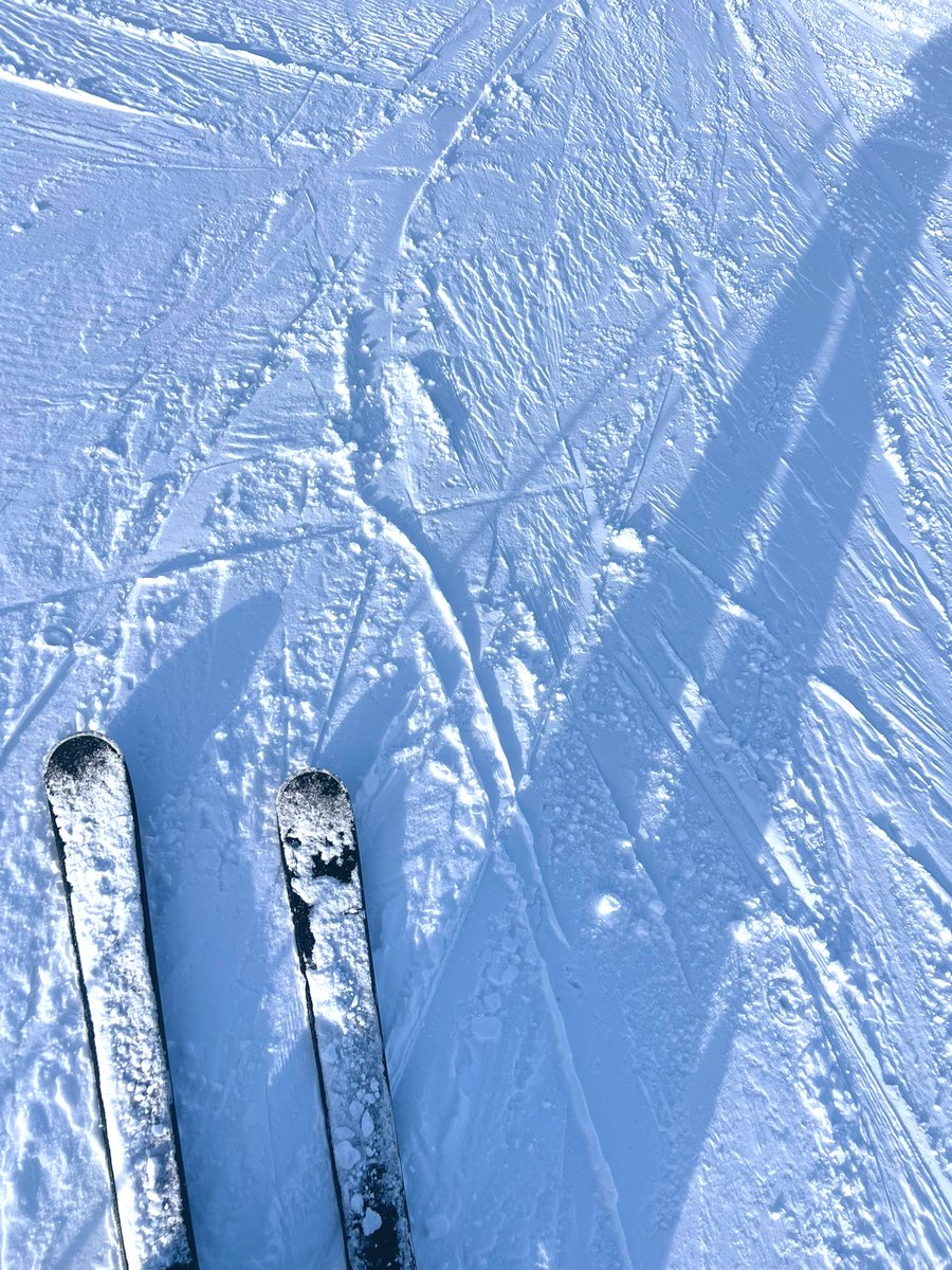 arakolife's tweet photo. 忘れていた感覚を思い出して頑張っています⛷スタイルめちゃ良く撮れた✨✨ #ニセコ暮らし https://t.co/dZoSBOSDyv