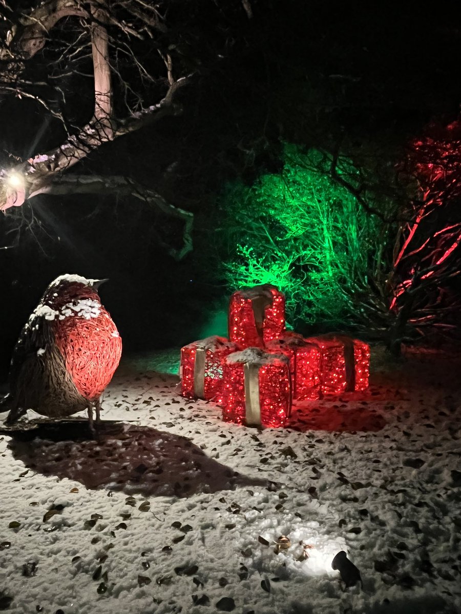 london_cornish's tweet photo. Festive lights at #Wimpole https://t.co/X6vREwvDXU