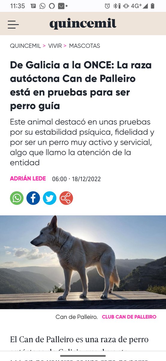 Que alegría!!!