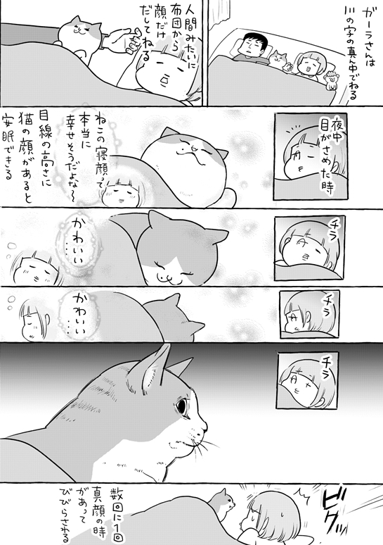 猫と寝るしあわせと、ガーラさんと。 