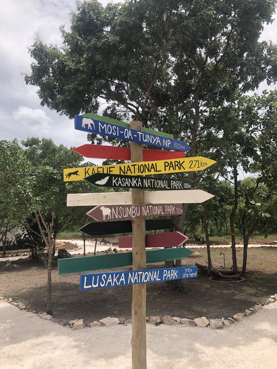 KBeeCurry's tweet image. Happy Holidays! @Web3UserGroup @dynamic_io sharing the love of #Cardano with #Zambia!