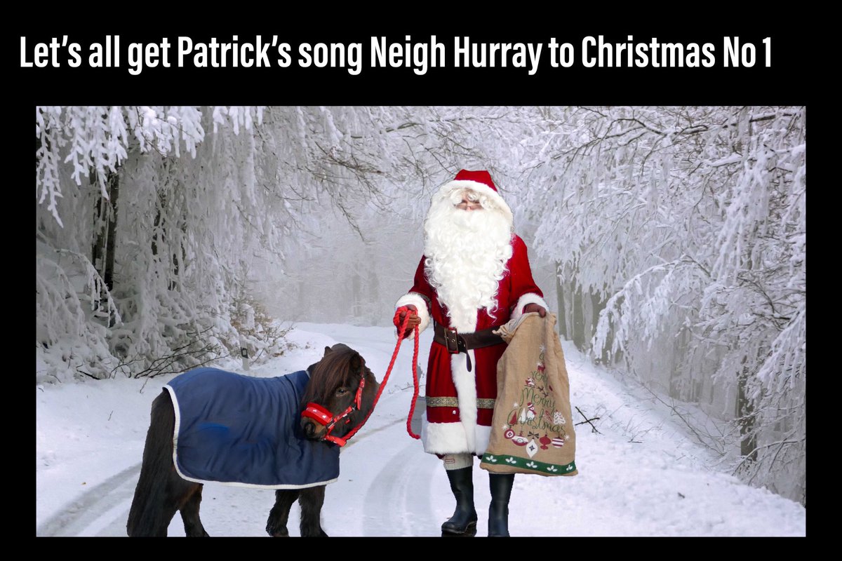 Thank you to everyone who has already purchased the song Neigh Hurray by Patrick The Pony 🎤🐴🎄@boostdigmednet @WhatsonSW @GHRDevon @aponyhour @Torbay_Hour @thismorning @BBCDevon @BBCRadio2 @BBCSpotlight @GMA @Devon_Hour @DevonLiveNews #ChristmasSongs @EnglishRiviera @loosewomen