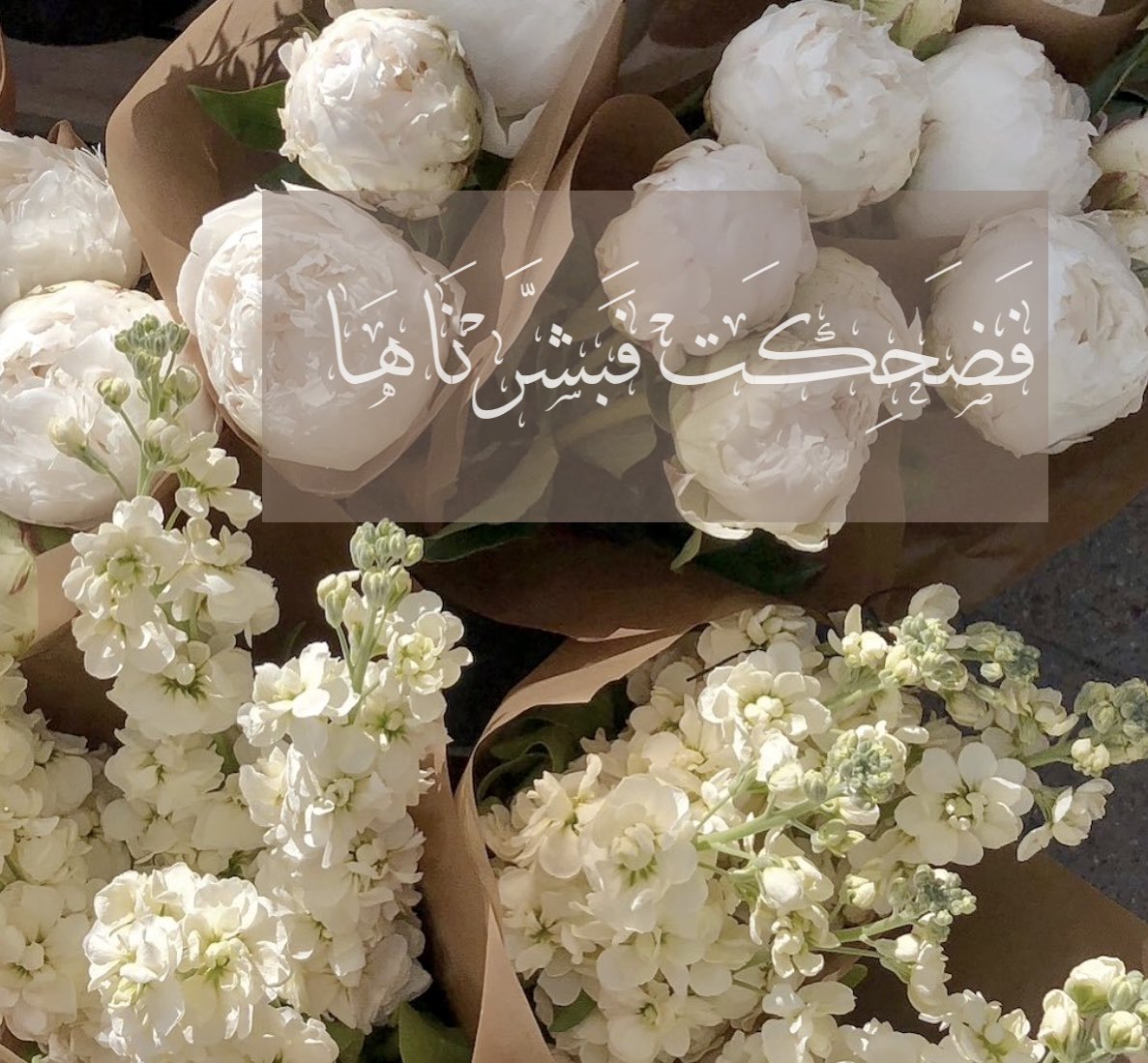 ebar_1's tweet photo. مواساة ربانية♥️. https://t.co/7Ip2p6B1e0