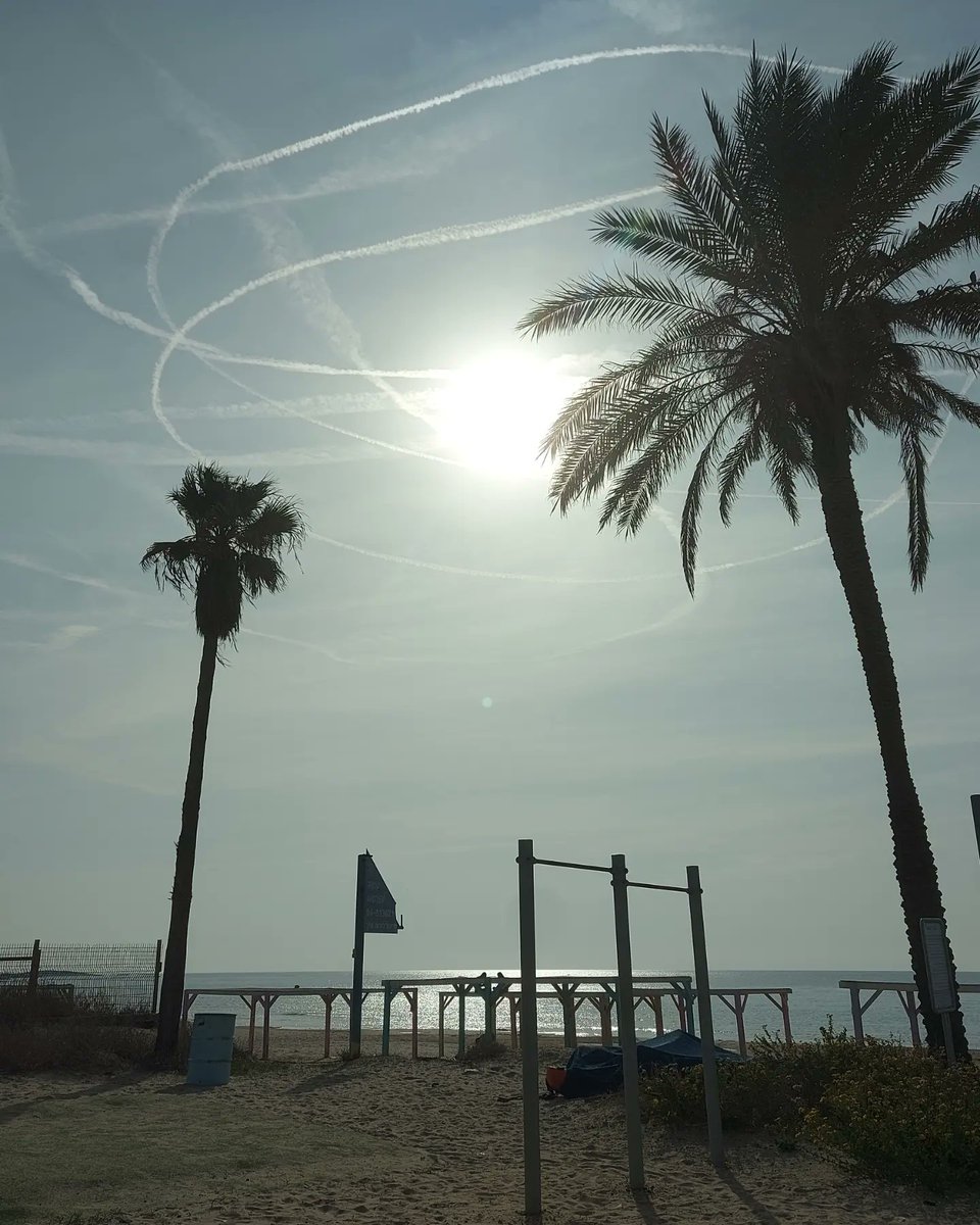 scenic_jog's tweet photo. Found a free gym right on the beach. Pullups to improve posture for deeper breaths. Balance upper body with lower. Playing around before a swim https://t.co/LVMUTHuqaC