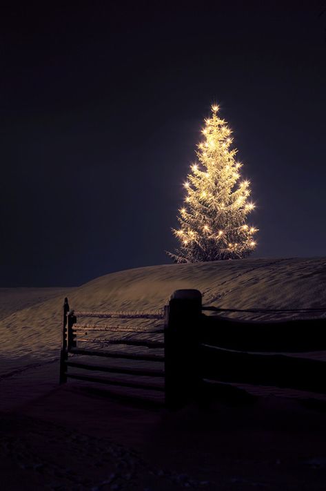 creative_writes's tweet photo. Write with us this Monday, 19 Dec (Zoom, 3-4pm). It's the last Creative Writes Space to Write of 2022 - Festive Theme! Small, supportive groups. A cosy hour of free flow writes. Only £14:
https://t.co/AdTWCcCSX4
#space2write #Zoom #creativewrites #writingcommunity https://t.co/U5edwTcC0L