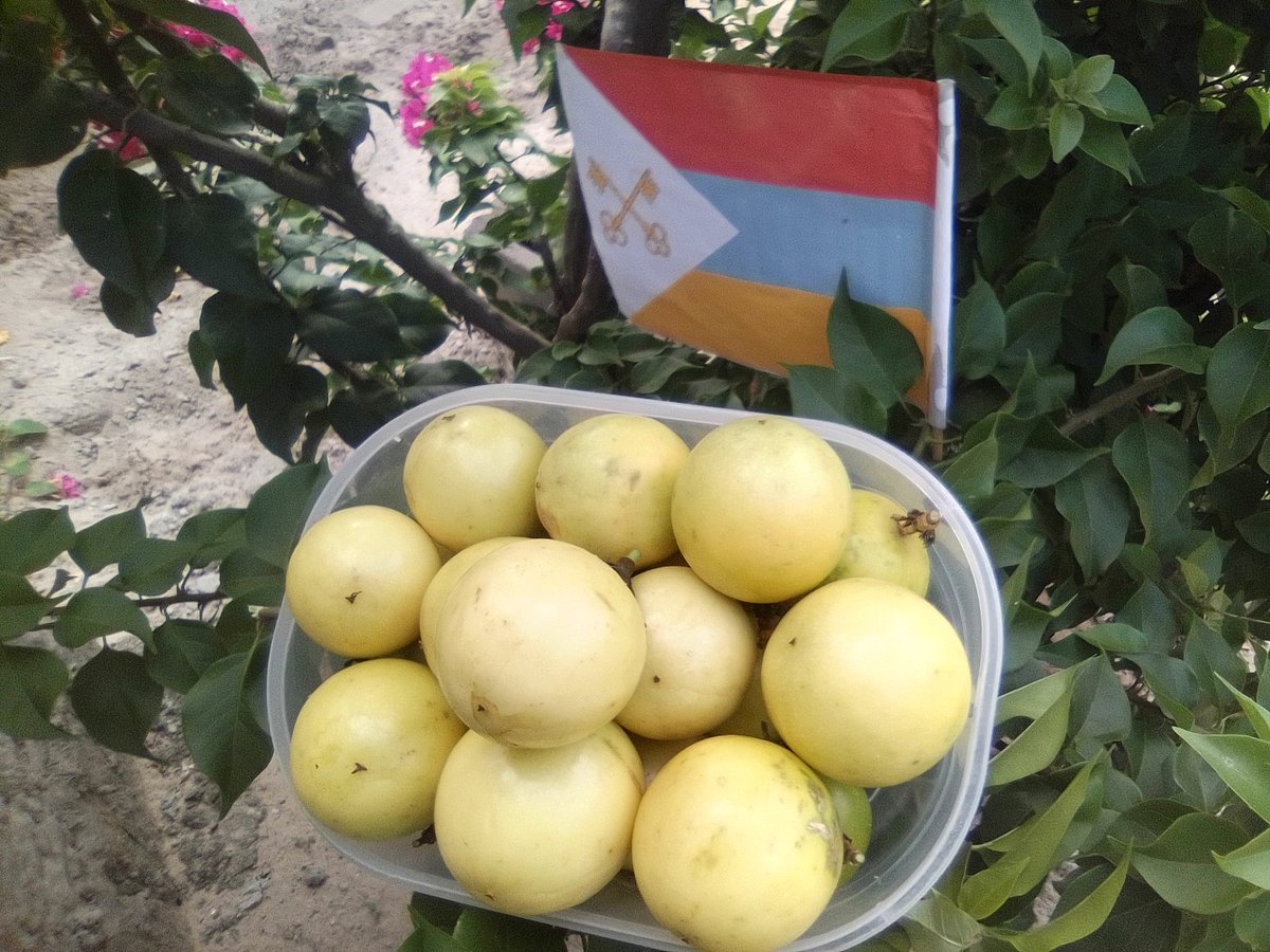 Hi! This is the Empire of Guanduania, and We Declare World Peace! ☮️💗⚖️