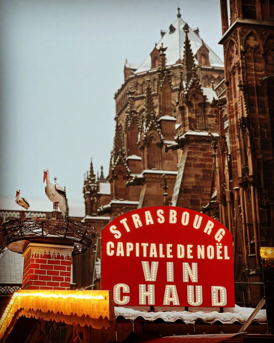 Kitchen_Garten's tweet photo. #StrasbourgCapitaledeNoël #Strasbourg #Weihnachtsmarkt #Weihnachten #Advent #Frankreich #France #Alsace https://t.co/0LVeJjOGuN