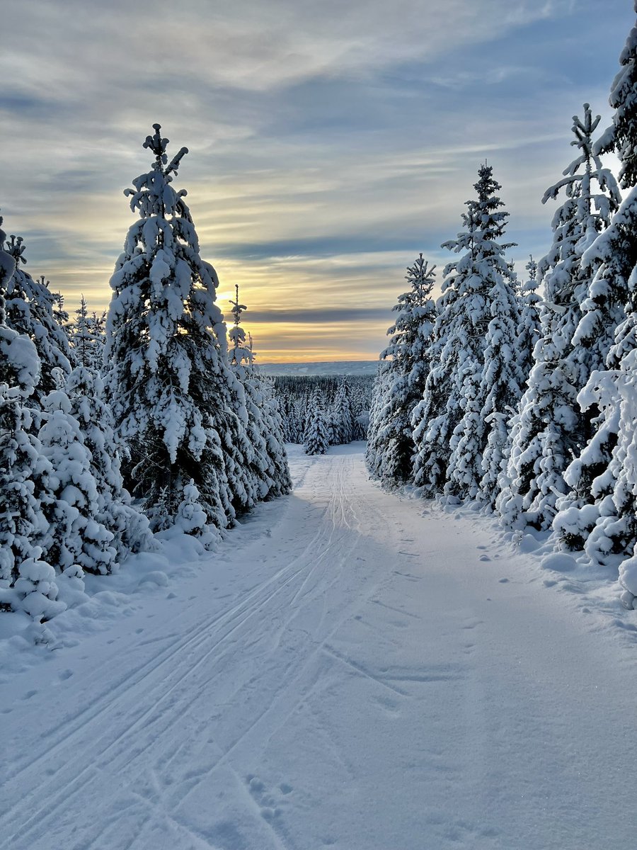 G Sigurdsson tweet media