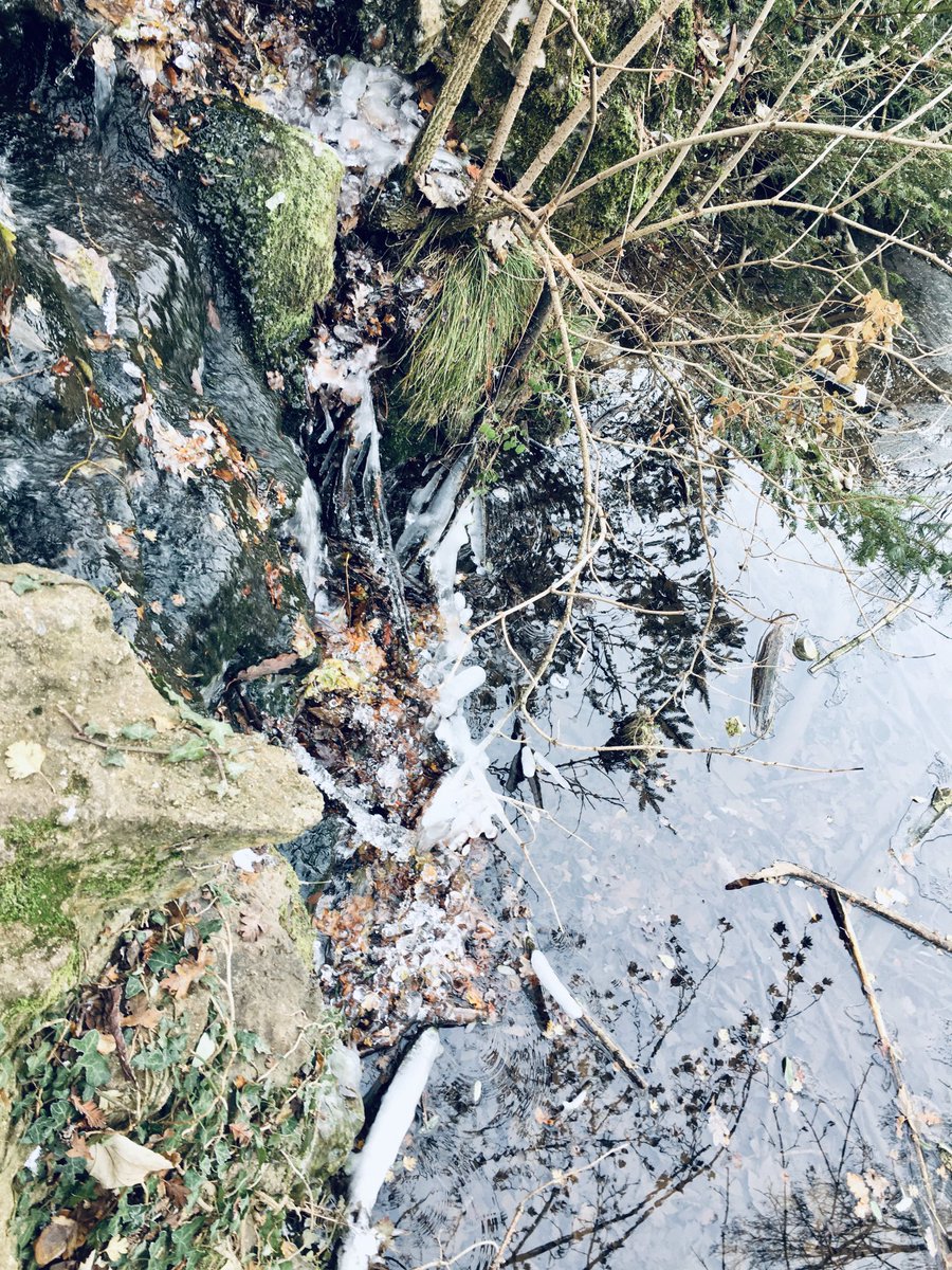 JuL_PERS's tweet photo. Matin d’hiver 🥶 dans le Bois 🌳 de ⁦@VincennesVille⁩ au Lac des Minimes 🧊 🦢 🦆 🤩
⁦@Paris⁩ ⁦@Nogent94130⁩ ⁦@iledefrance⁩ ⁦@valdemarne_94⁩ https://t.co/ynuvAWq26m