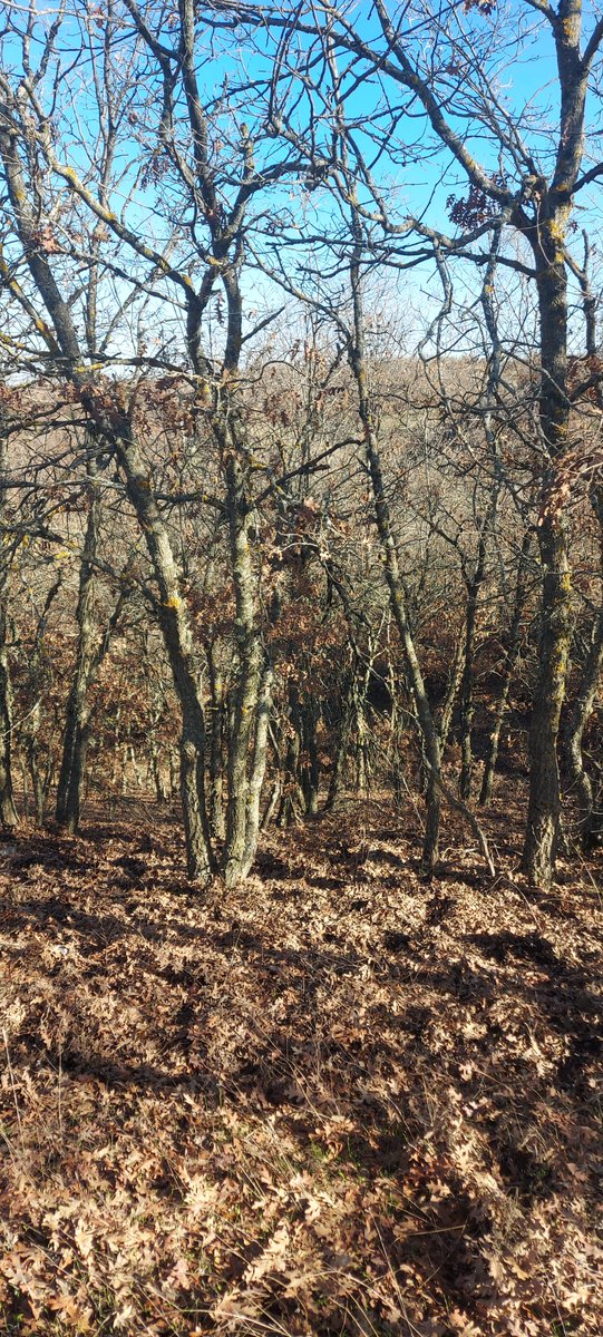 İstersen gell 🙃🙃