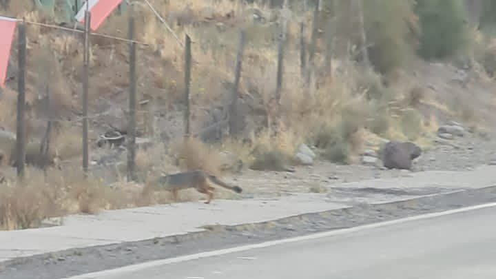 Cajón del Maipo tweet media