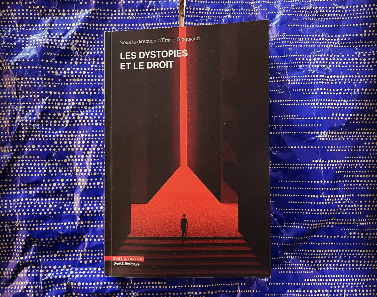 🎄 Autre idée cadeau made in Mare &amp; Martin : les dystopies et le droit ! Un livre ambitieux avec un contenu à la hauteur du sommaire ! 👁️