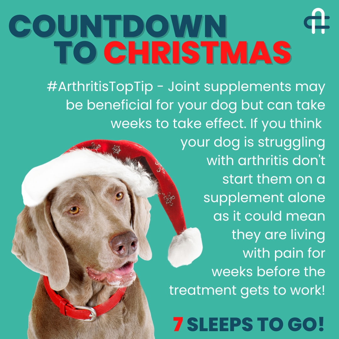COUNTDOWN TO CHRISTMAS!!!

Its so close! For the next 7 days, enjoy an #ArthritisTopTip each day to help you on your arthritis journey

#YourDogMoreYears #seniordogsuk #dogloversuk #caninearthritis #CAMDogs #dogswitharthritis #veterinarylife #ArthritisTopTip #dogtrainer