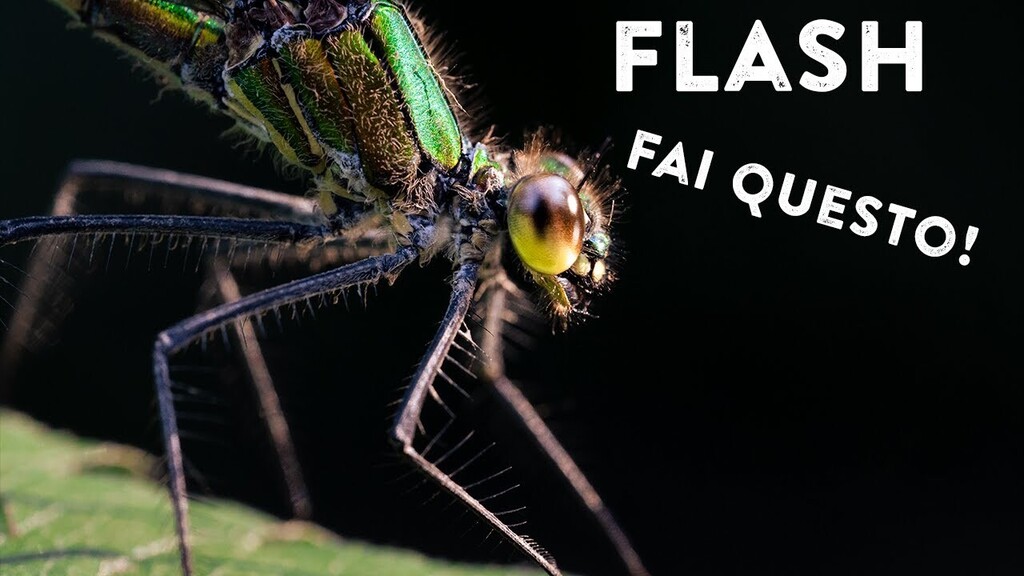 JackVulpes's tweet photo. https://t.co/r9WXNoZukW Il fash è uno mezzo molto potente da utilizzare per le nostre foto, ma spesso la sua luce ha bisogno di essere modificata per risultare al meglio. In questo video vi spiego il metodo più semplice per farlo.

La mia attrezzatur… https://t.co/atIsbVMlss https://t.co/ii2sD3Gp7E