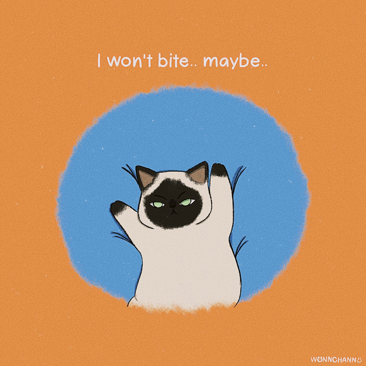 wonnchann tweet media