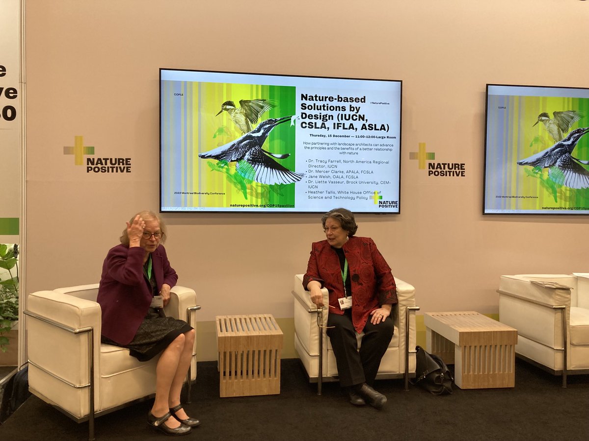 Jane welsh tweet media