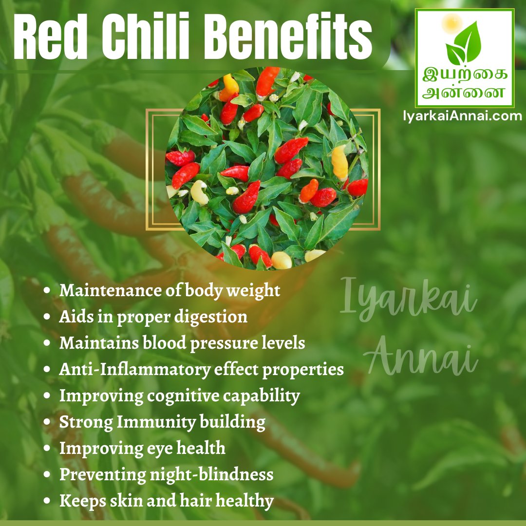 iyarkaiannaitv's tweet image. Red Chili Benefits
#redchilli #redchili #redchillibenefits #chillibenefits  #mothernature #iyarkai #iyarkaiAnnai  #nature #naturelovers #naturalfood #naturalfoods #NaturalFoodSupplement #fitness #skincare #bodycare #skincaretips #bodycaretips #naturaltips #fitnesstips #healthTips