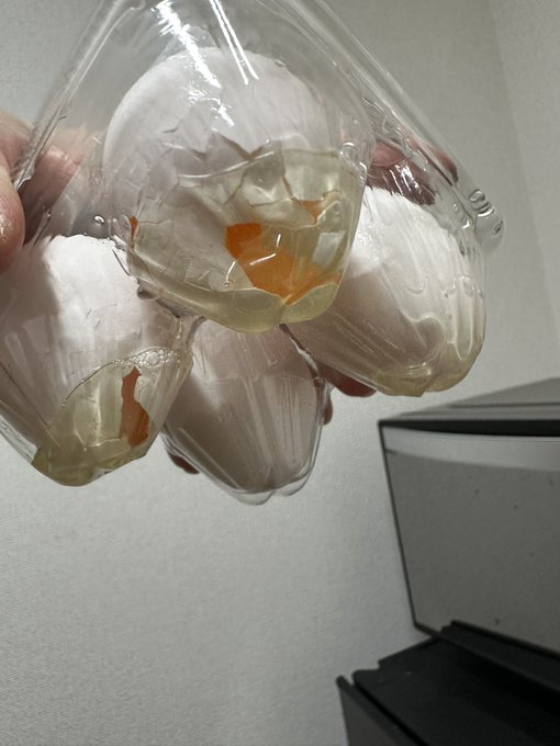 マモレナカッタ… 