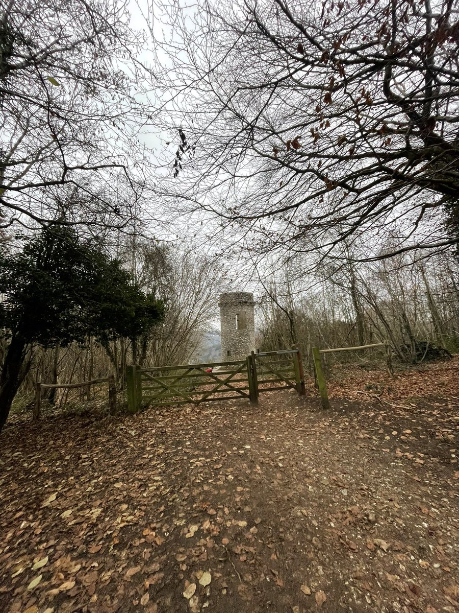 Whiffenpuff's tweet photo. First run in 2 weeks due to injury for me and 4 weeks since bailey was sick.

Probably should have picked a slightly flatter route 🤣 
#Boxhill #AllTheSteps #RoadToChester50 #TryingAt48VeryTrying 🥴 https://t.co/qaJq0Gd9zG