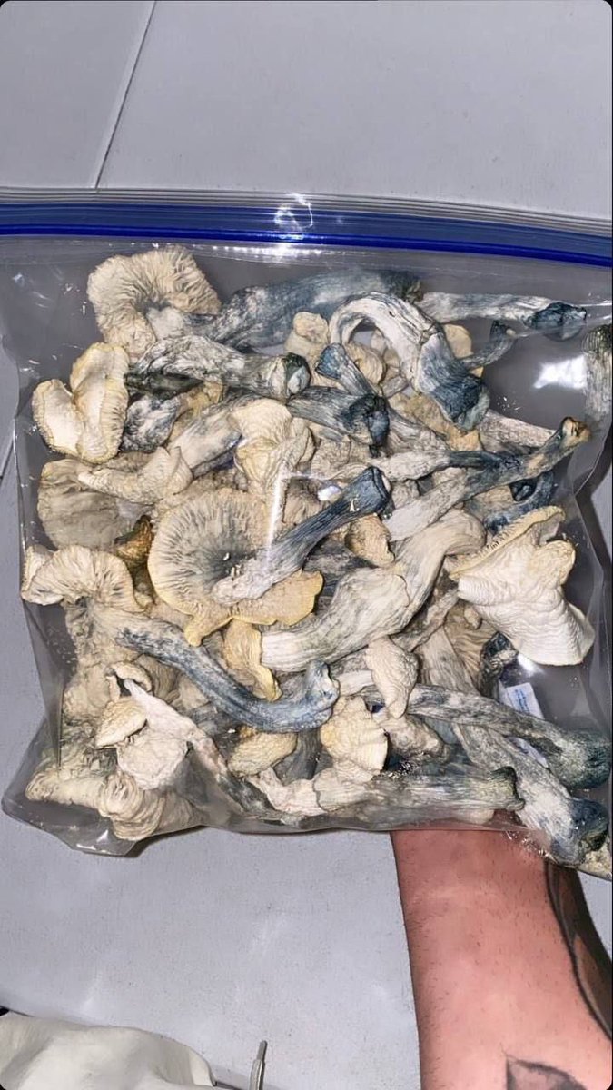 -Limited and Exclusive Shrooms ready to sprout on 
 Cardano.
-Over the next 12 months we are releasing 5 colletions 
  at 50 NFTs each.
-Shroom Pass will get WL for all 5.