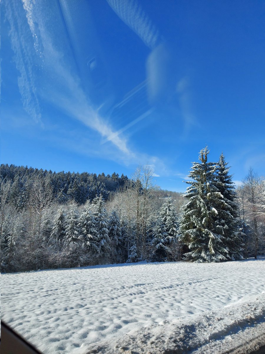 ichim_a's tweet photo. Sunny, cold and an abundance of snow❤️ https://t.co/ZNtnvINVJ0